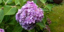 Garten 2 Tolles Haus mit viel Potenzial In Bahnhofsn�he